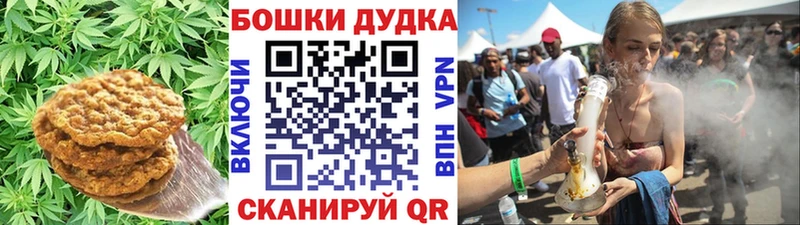 как найти закладки  Усть-Лабинск  гидра вход  darknet состав  Canna-Cookies конопля 